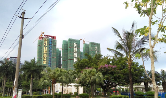 深房传麒尚林_实景图_14