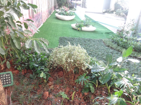 碧桂园奥斯汀_项目现场_28