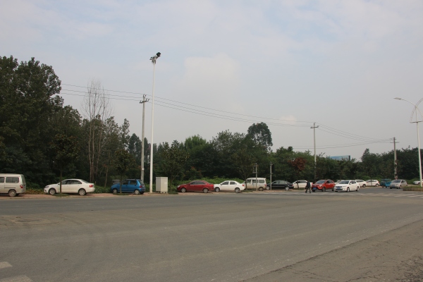 协信天骄城_实景图_106