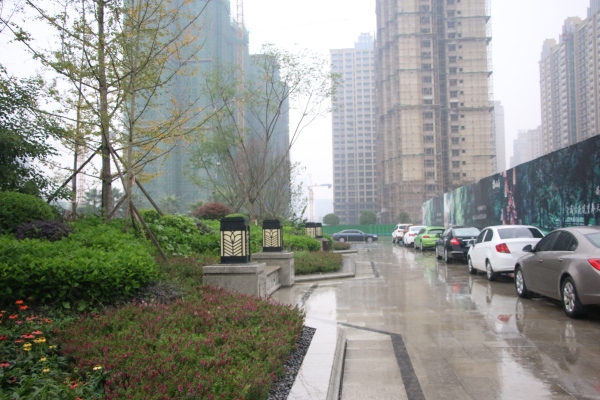 建工梧桐屿_实景图_45