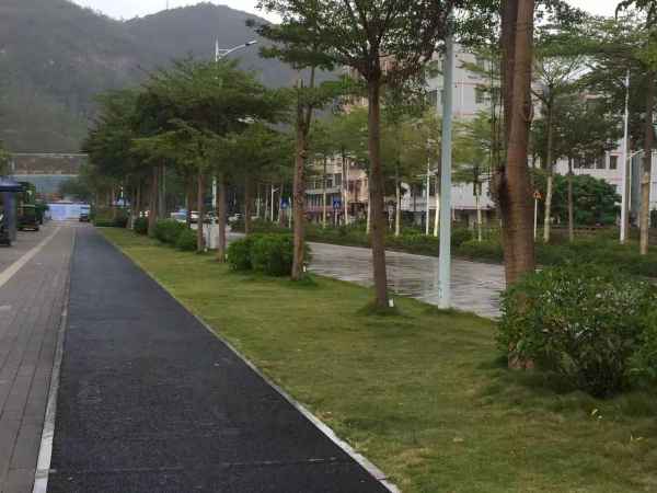 花样年家天下_实景图_41