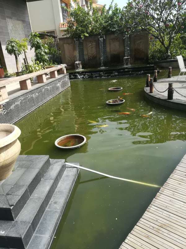 名爵玖悦_实景图_4
