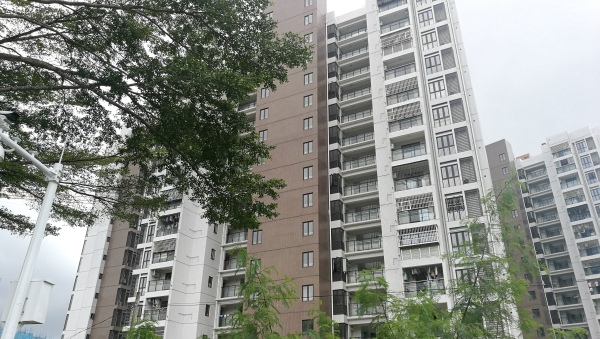 保利24季_实景图_27