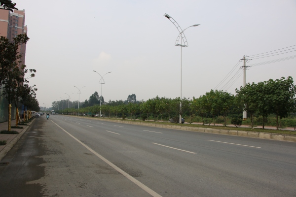 协信天骄城_实景图_146