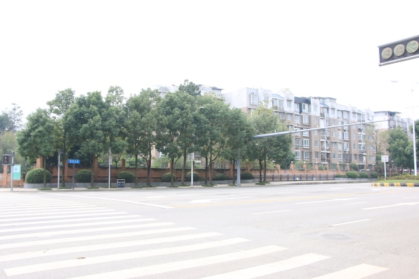 协信天骄城_实景图_101