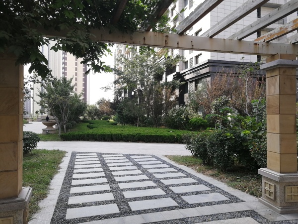 三庆城市主人_实景图_32