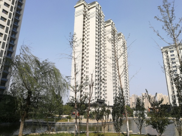 三庆城市主人_实景图_24
