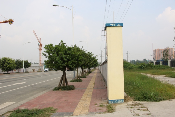协信天骄城_实景图_171