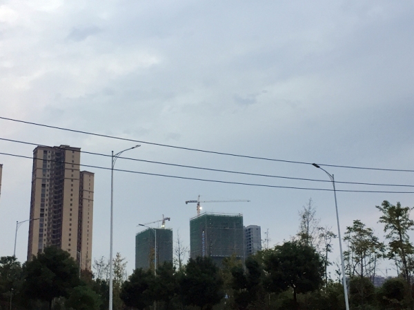 金轮星光名座_实景图_7