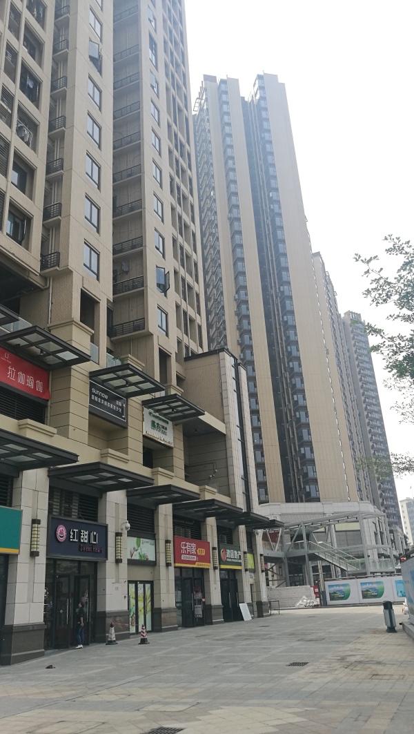 金洪观荟二期_实景图_45