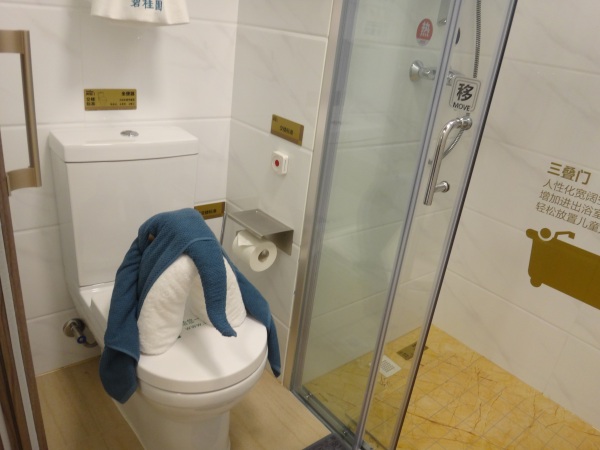 碧桂园奥斯汀_样板间_43