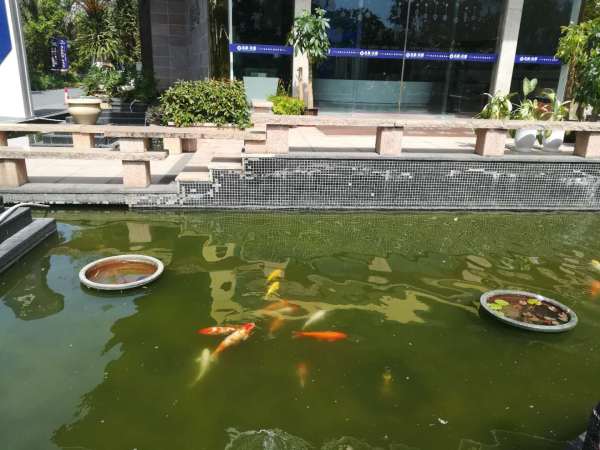 名爵玖悦_实景图_14