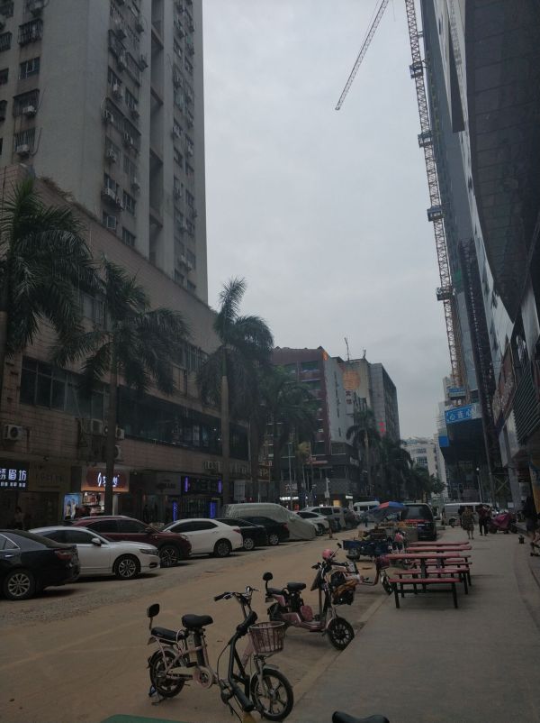 凯旋天玺名庭实景图