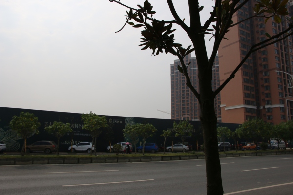 协信天骄城_实景图_184