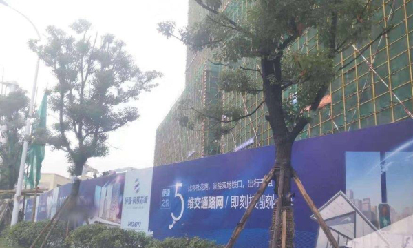 环亚高铁芯城_项目现场_6
