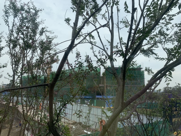 明信晓筑_实景图_27
