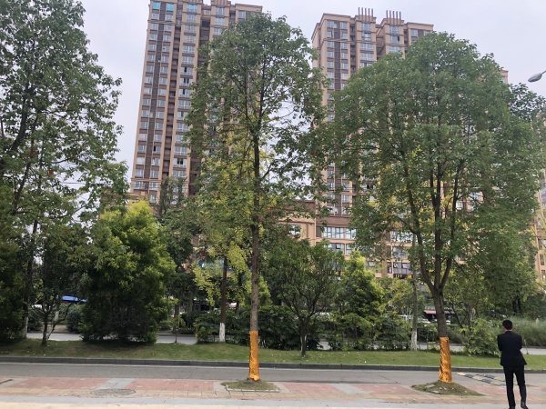 万和嘉苑_小区配套_8