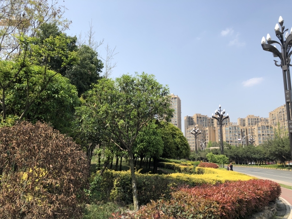 金色阳光名邸_小区配套_10