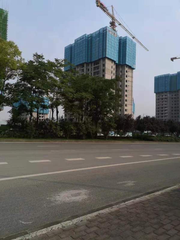 怡心湖岸二期_实景图_21