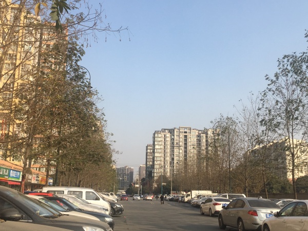 远洋朗基香汇_实景图_38