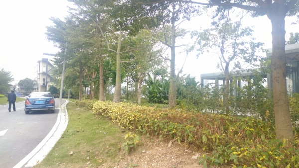 金辉路劲江山云著_实景图_20