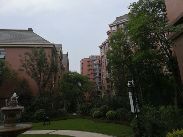 川网国际花园_实景图_22