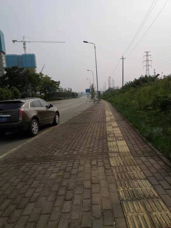 怡心湖岸二期_实景图_19