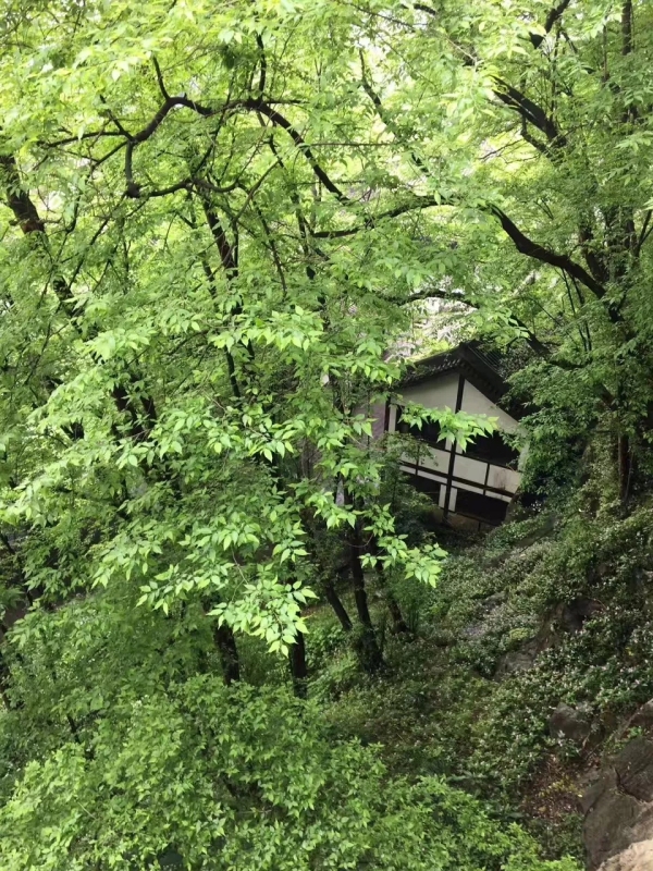 中梁津门首府_小区配套_1