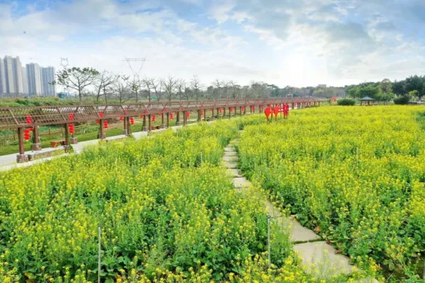 上坤翰林湖壹号_小区配套_4