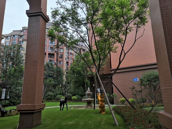川网国际花园_实景图_12