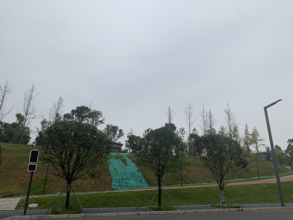 中铁悦鹿府_实景图_8