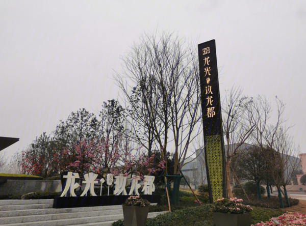 龙光天府玖龙郡_实景图_4