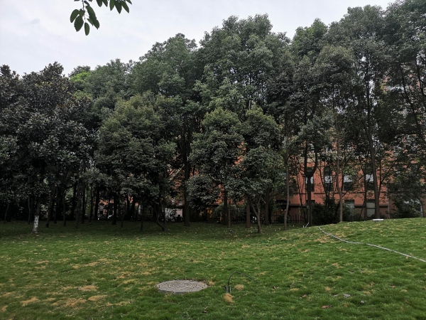 川网国际花园_实景图_9