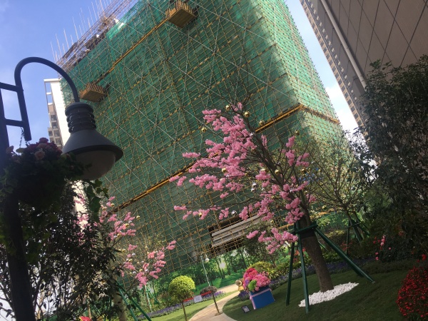 碧桂园联丰天汇湾_实景图_2