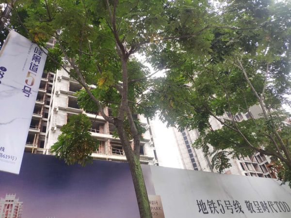 和成景筑_实景图_16