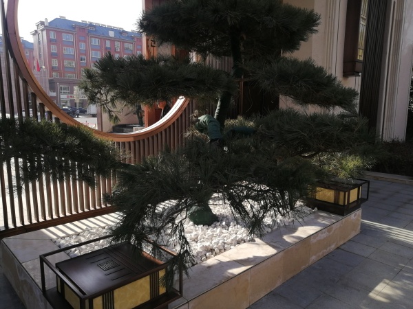 三盛璞悦湾_项目现场_13