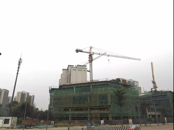 东鑫苑_实景图_5