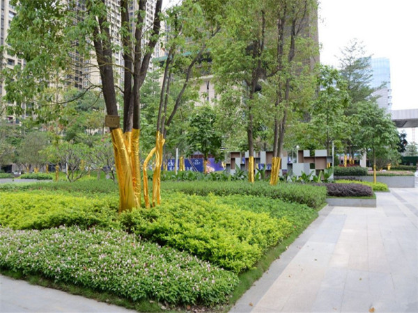 保利中悦广场_实景图_19