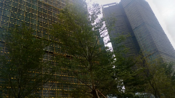金辉路劲江山云著_实景图_21