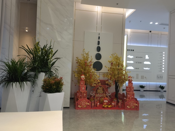 城投置地锦绣江城_项目现场_21