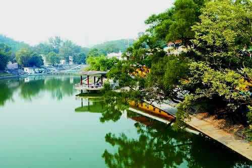 金辉路劲江山云著_小区配套_1