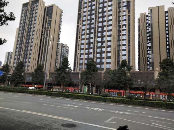 万科公园5号_实景图_8
