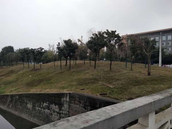 万科公园5号_小区配套_19