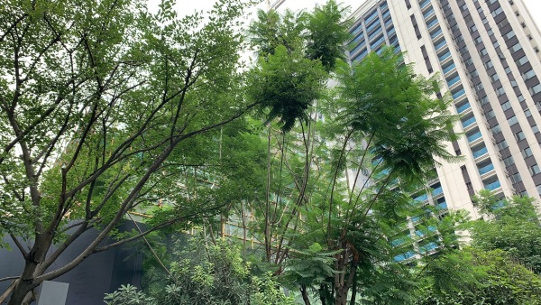 中建天府公馆_实景图_60