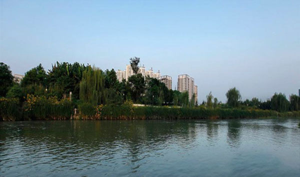 千禧河畔B区实景图
