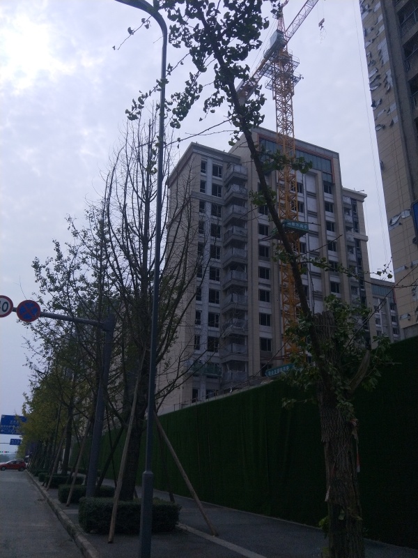 怡心湖岸二期_项目现场_15