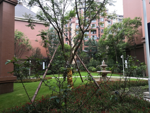 川网国际花园_实景图_3