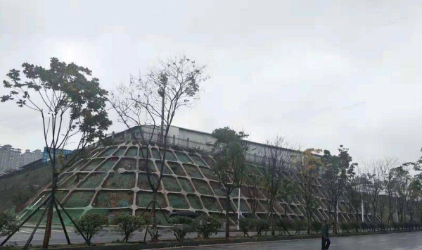 环亚高铁芯城_实景图_10