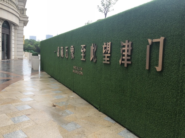 旺海公府_实景图_2