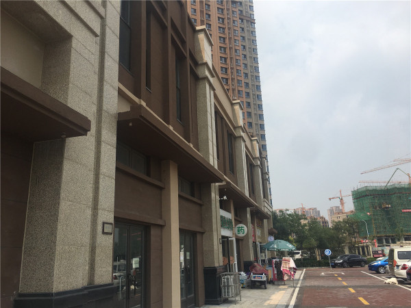 南益金街_实景图_24